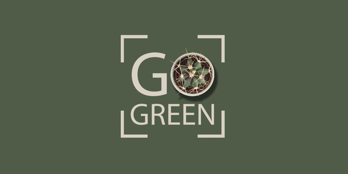 coleção de decoração DeBORLA Go Green