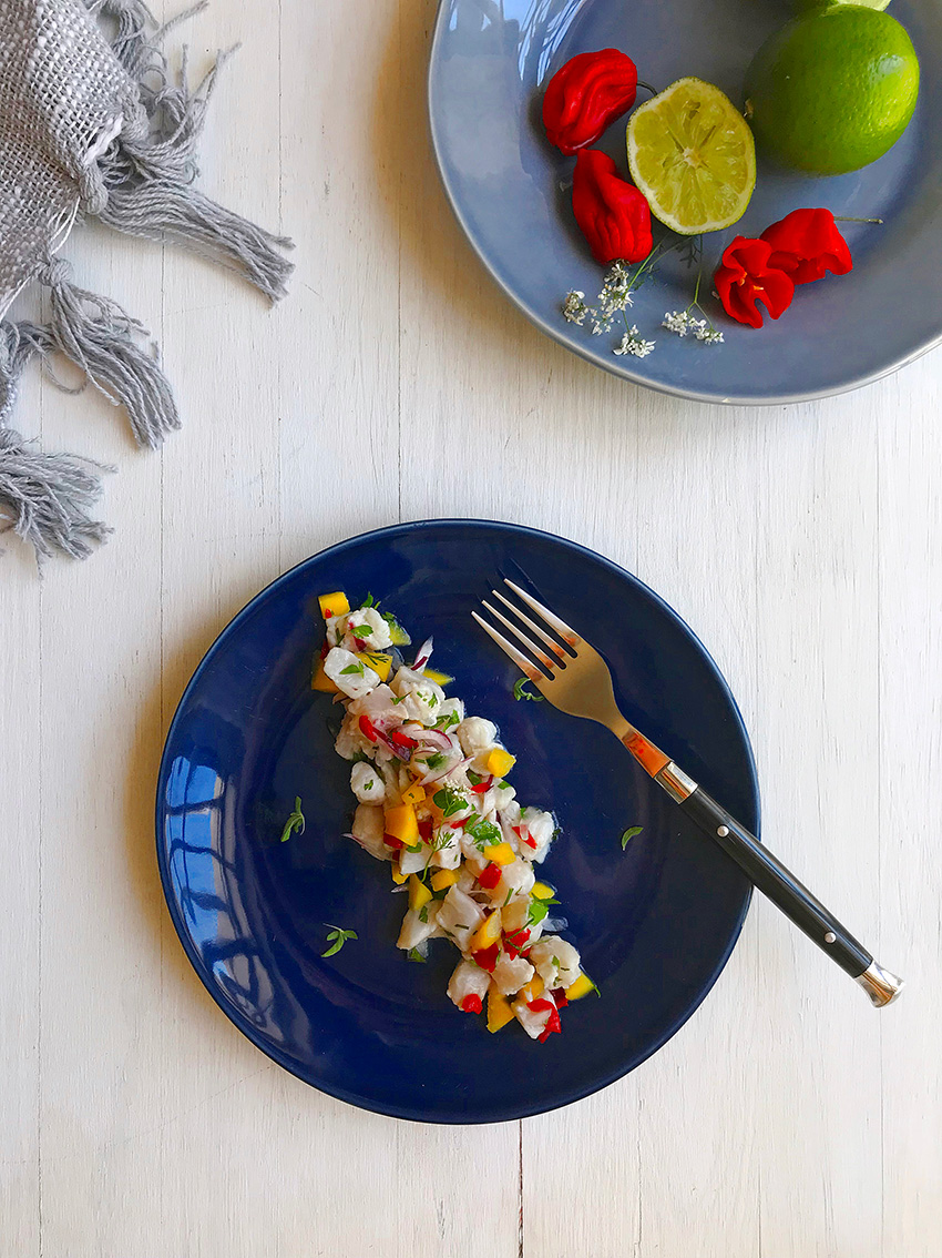 Ceviche-de-Corvina-e-Manga