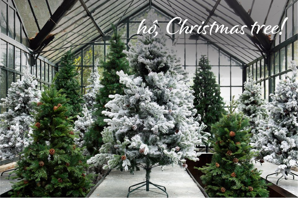 À procura da árvore de Natal perfeita? - Blog hôma